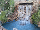 Fountain with Cactuses