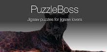 Big Cat Jigsaw Puzzles Demo APK