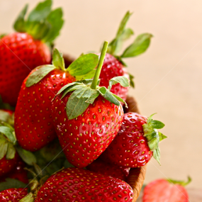 Stawberry by Nashira Usef - Food & Drink Fruits & Vegetables