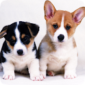 Super Dogs Super HD logo