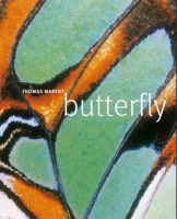 [BookPage_Butterfly[2].png]