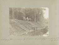 Ophoging (dam) in zwamp ... bij Mäabo