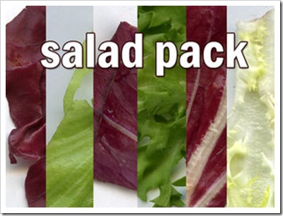 Salad_Pack_by_rev_jesse_c_stock