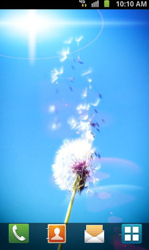 【免費個人化App】Dandelion Live Wallpaper-APP點子