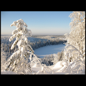 Discover Finland logo