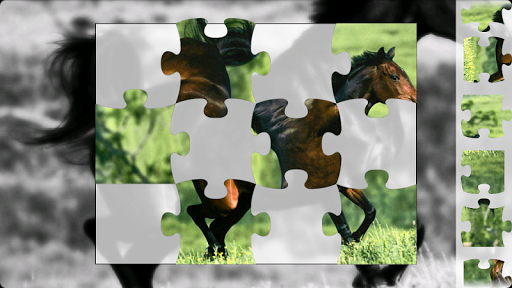 Puzzle Horses