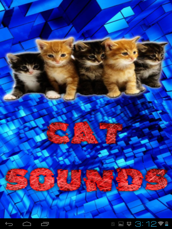 kedi sesleri ve görüntüleri Google Play�de Android Uygulamaları