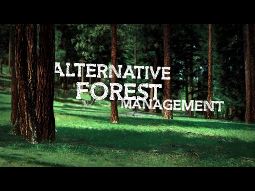 Alternative Forest Management