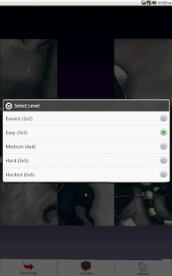 Gorgeous Dolls Puzzle Screenshots 2