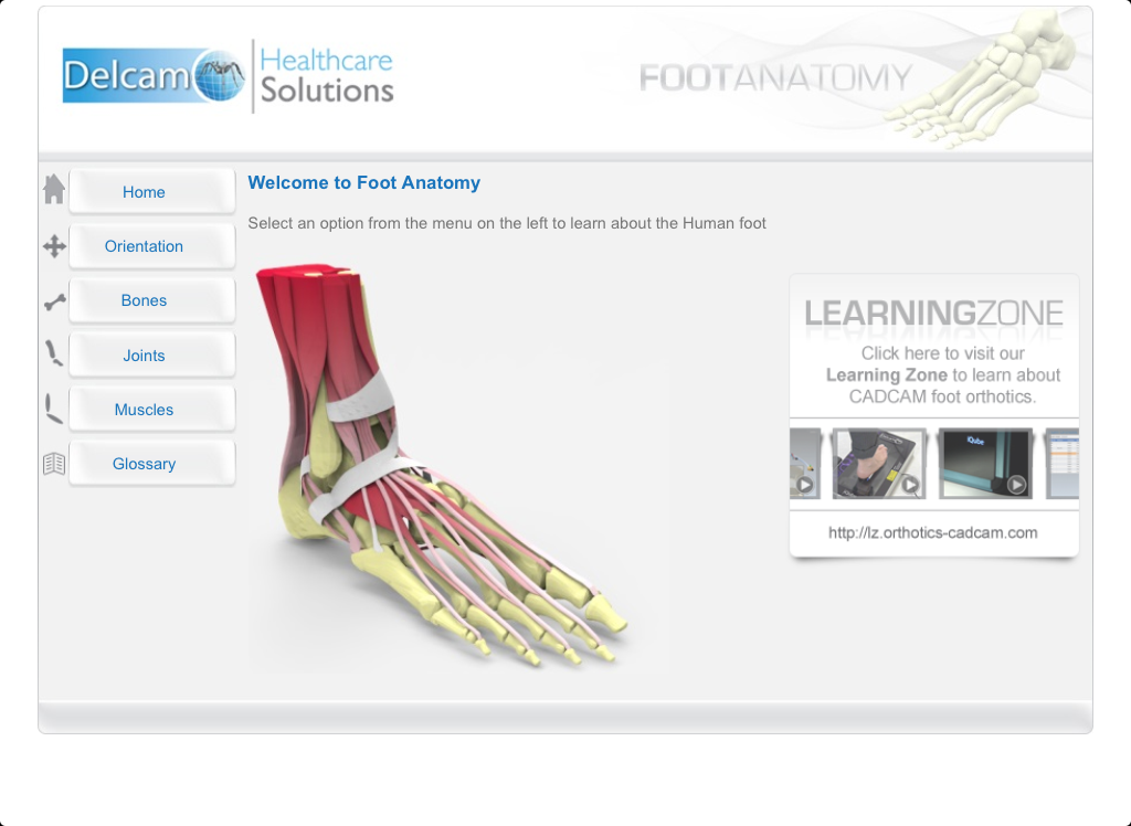    Foot Anatomy- screenshot  