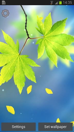 Leaf Live Wallpaper