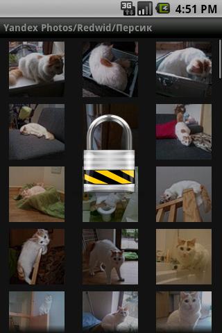 Yandex Photo Albums Key Screen 2