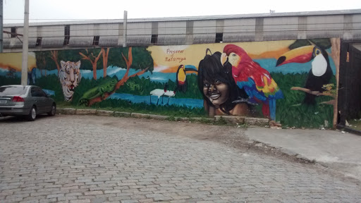 Grafiti Natureza Brasileira