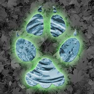 Critter Trax - Wild Animal Tra