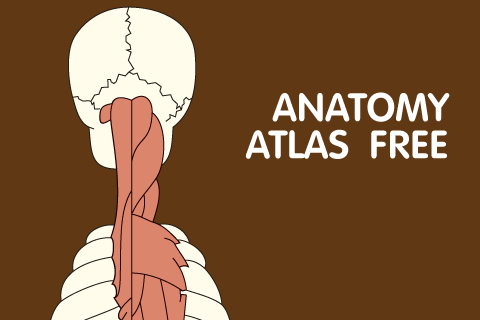 免費下載書籍APP|Anatomy Atlas Free app開箱文|APP開箱王