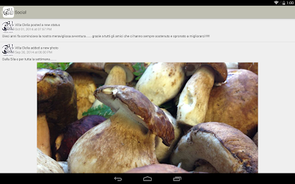 Villa Clelia - Restaurant poster 12