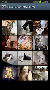 How to get Cats Sound Effects Free 1.0 mod apk for pc
