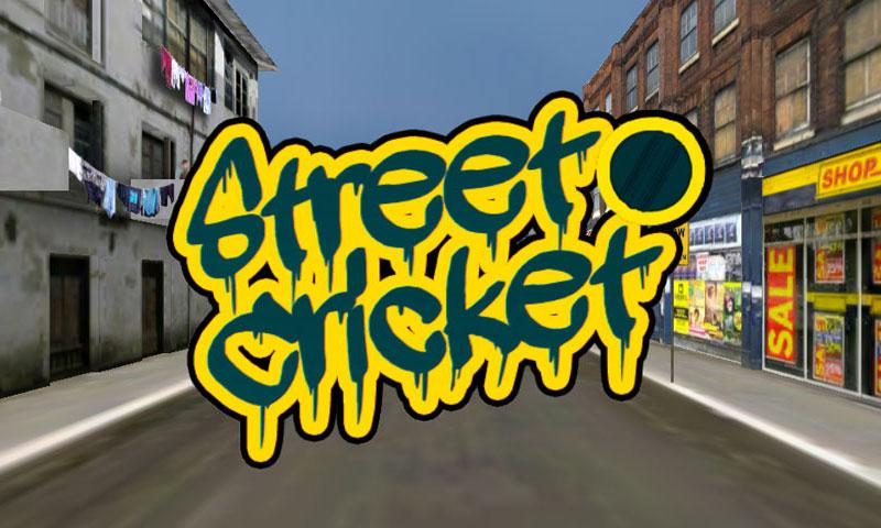 Street Cricket Screen 1