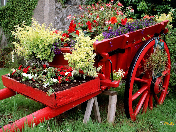 carro%C3%A7a%20de%20flores.jpg
