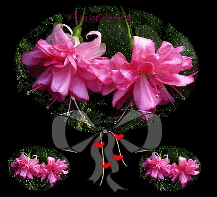 flores%20rosas%20cora%C3%A7%C3%A3ozinhos