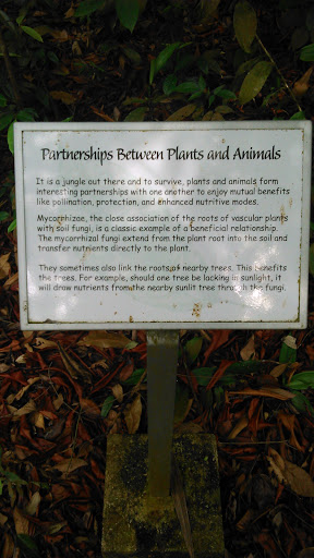 Partnerships Between Plants And Animals Board