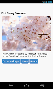 Download Sakura Wallpapers APK for PC