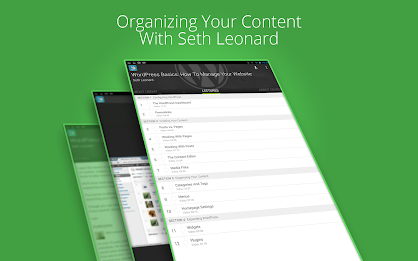 WordPress Basics poster 5