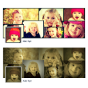 Template Wrens - CoverPro icon