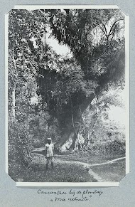 Cancantree bij de plantage "Ma retraite"