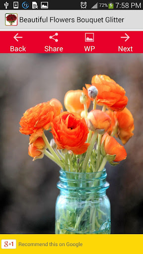 免費下載攝影APP|美麗的鮮花花束金蔥 app開箱文|APP開箱王