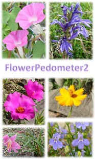 How to download Flower Pedometer 2 3.3 mod apk for bluestacks
