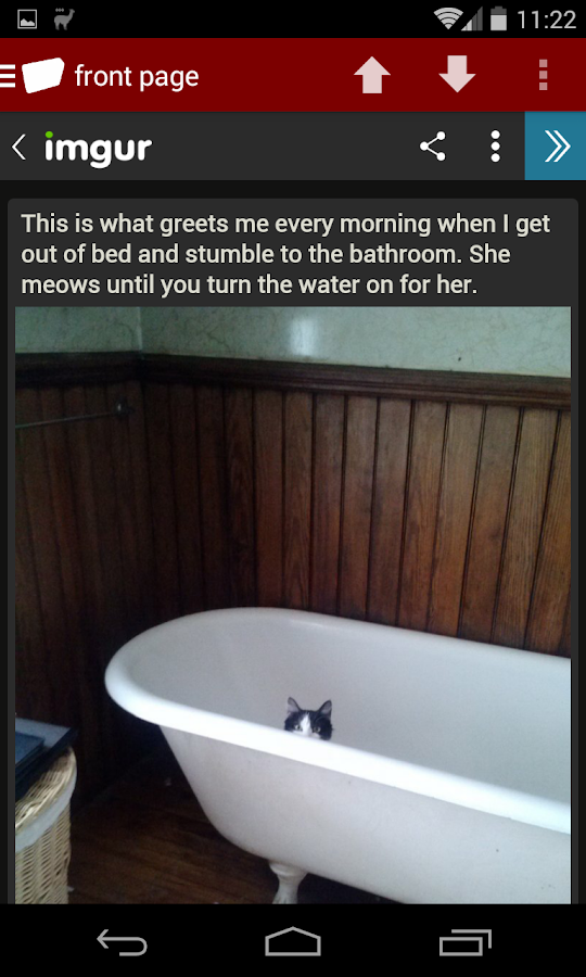 rzbLVy-haykdDtsWhogyUx_FQWvTB425Tz9J-7Z6Sdy38VdrMmtP-be5KDtVTcljUD0=h900