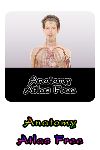 Anatomy Atlas Free