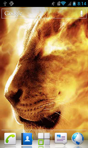 Lioness in Flame a live