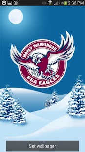 Manly Sea Eagles Snow Globe Screenshots 6