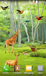 Forest HD Live Wallpaper poster 1