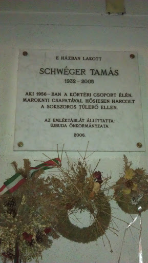 Schwéger Tamás