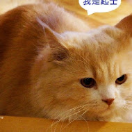 IVORY TOWER CAFE 象牙塔咖啡