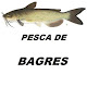 PESCA DE BAGRES APK