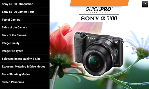 Guide to Sony a5100