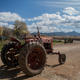 Three Trackers by Daniel Gorman -  