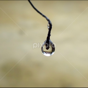a drop of life by Annesha Dasgupta - Abstract Macro