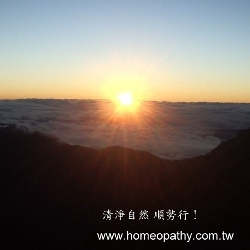 Homeopathy傳統順勢療法查詢 LOGO-APP點子