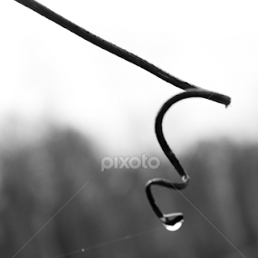 Water drop by Madalin Stoean - Black & White Macro