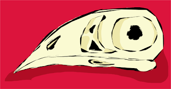 Bird Skull Thing