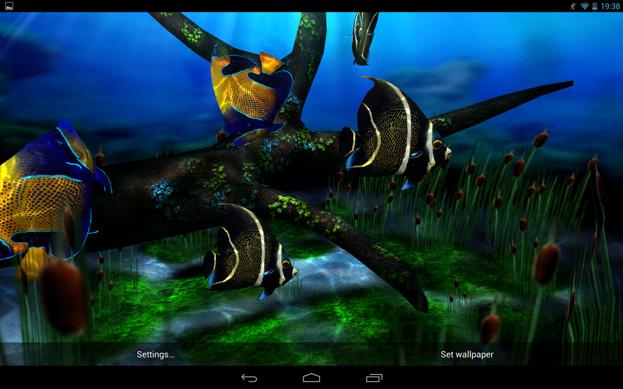 My 3D Fish II Android Apps On Google Play