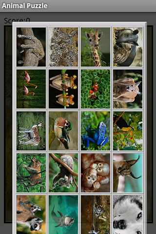 Animal Puzzle