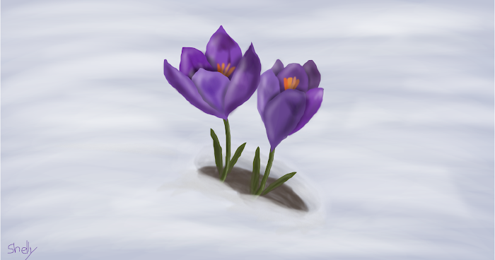 Time for Spring to Peek Through