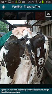  Nadis SQP- የቅጽበታዊ ገጽ እይታ ድንክዬ  