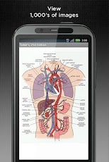 Nursing Central - Current User